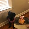 tackytina